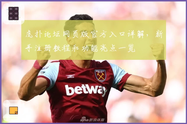 虎扑论坛网页版官方入口详解，新手注册教程和功能亮点一览