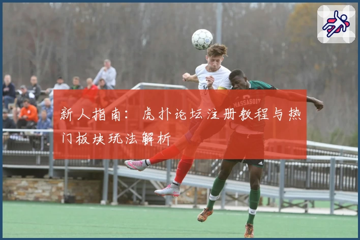 新人指南：虎扑论坛注册教程与热门板块玩法解析